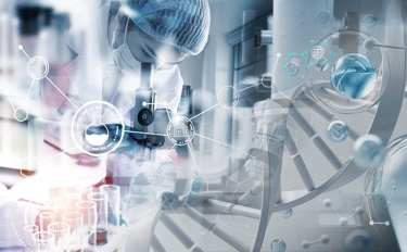 Valget bag skønhed: Den dybe forbindelse mellem kosmetik og bæredygtigt liv