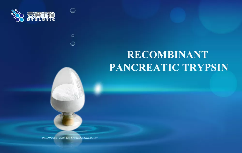 Rekombinant pancreas trypsin
